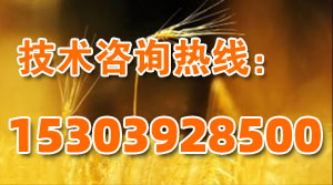 有机肥发酵技术咨询电话