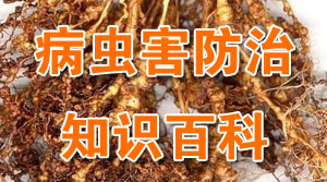 病虫害防治知识